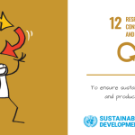 SDG 12 - Responsible Consumption and Production