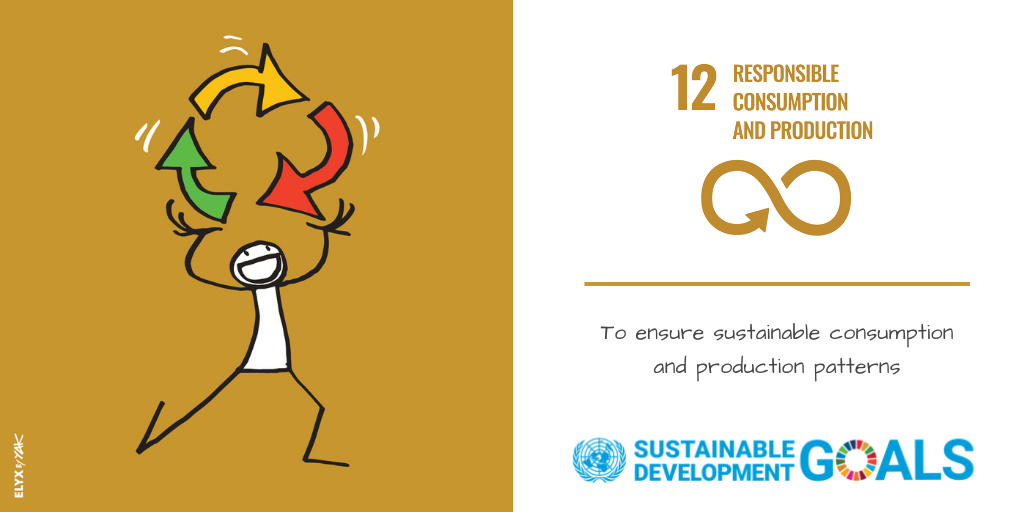 SDG 12 - Responsible Consumption and Production
